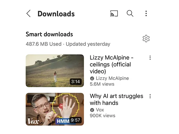 03-YouTube会员-智能下载.png